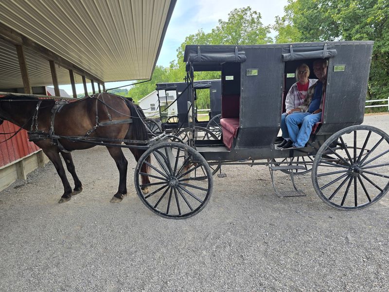 Amish-Mennonite Roots And Mennonite Traditions Nearby