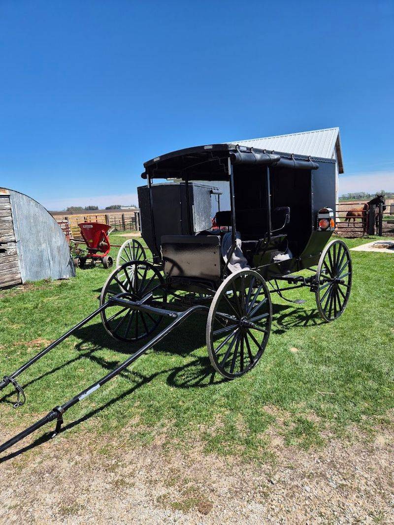 Amish Tours Of Harmony