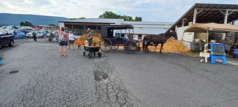 Amish Vendors Are The Heart Of The Market