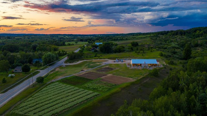 Farm Club, Traverse City