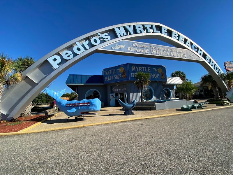 Amusement Park And Attractions For Family Fun