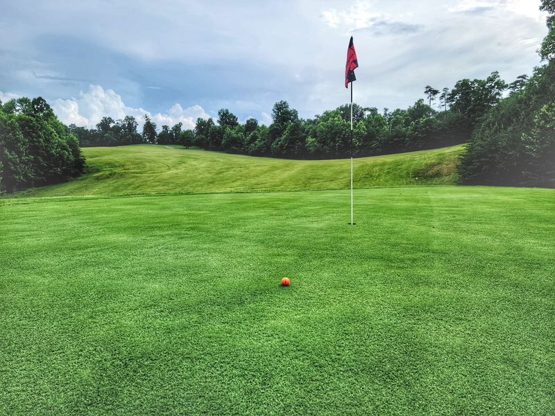 An 18-Hole Golf Course Tucked Inside A Forest Setting