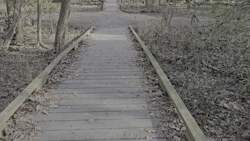 An Accessible Park Welcoming To Everyone