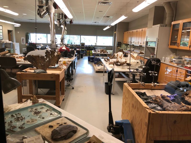 An Active Dig Where New Discoveries Happen Every Single Day