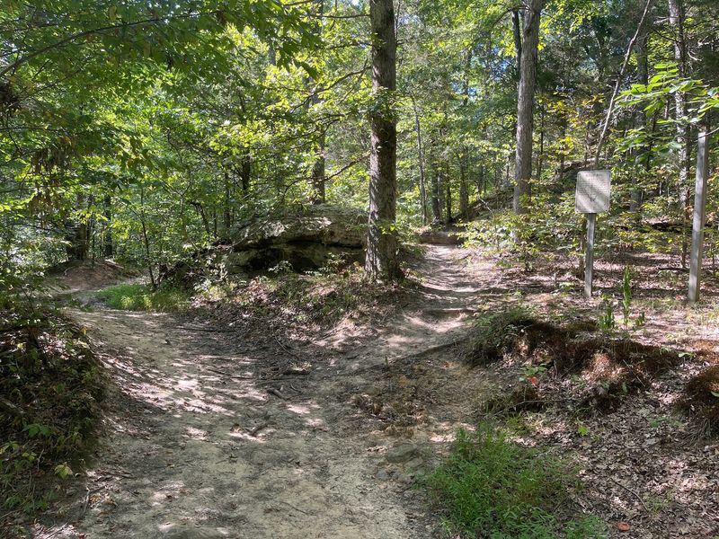 An Adventure That Starts Where The Road Ends