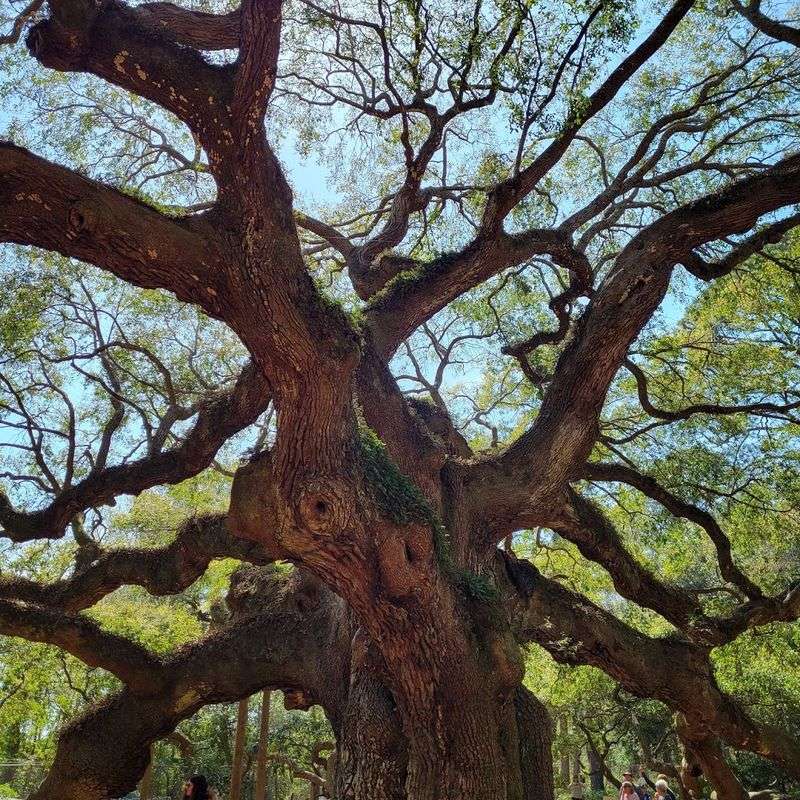 A Size That Stops You Cold