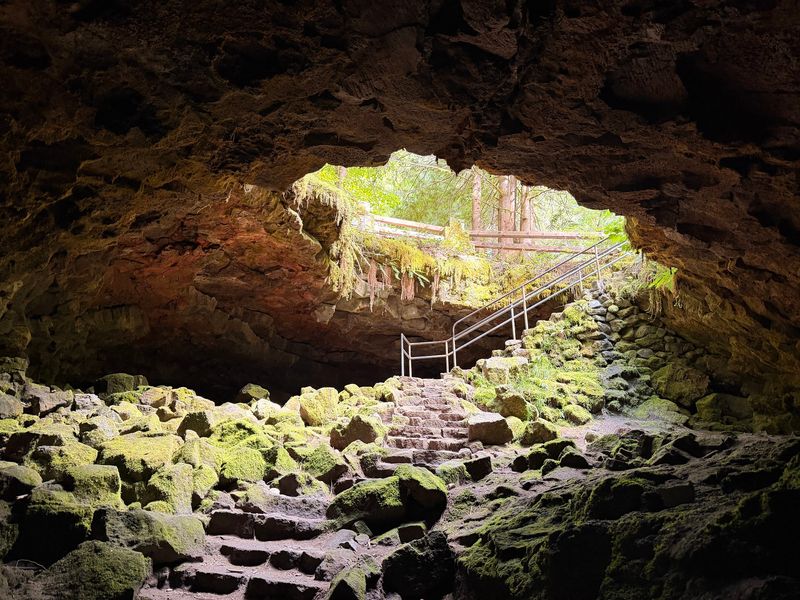 An Ancient Lava Tube Waiting Beneath the Forest An Ancient Lava Tube Waiting Beneath the Forest
