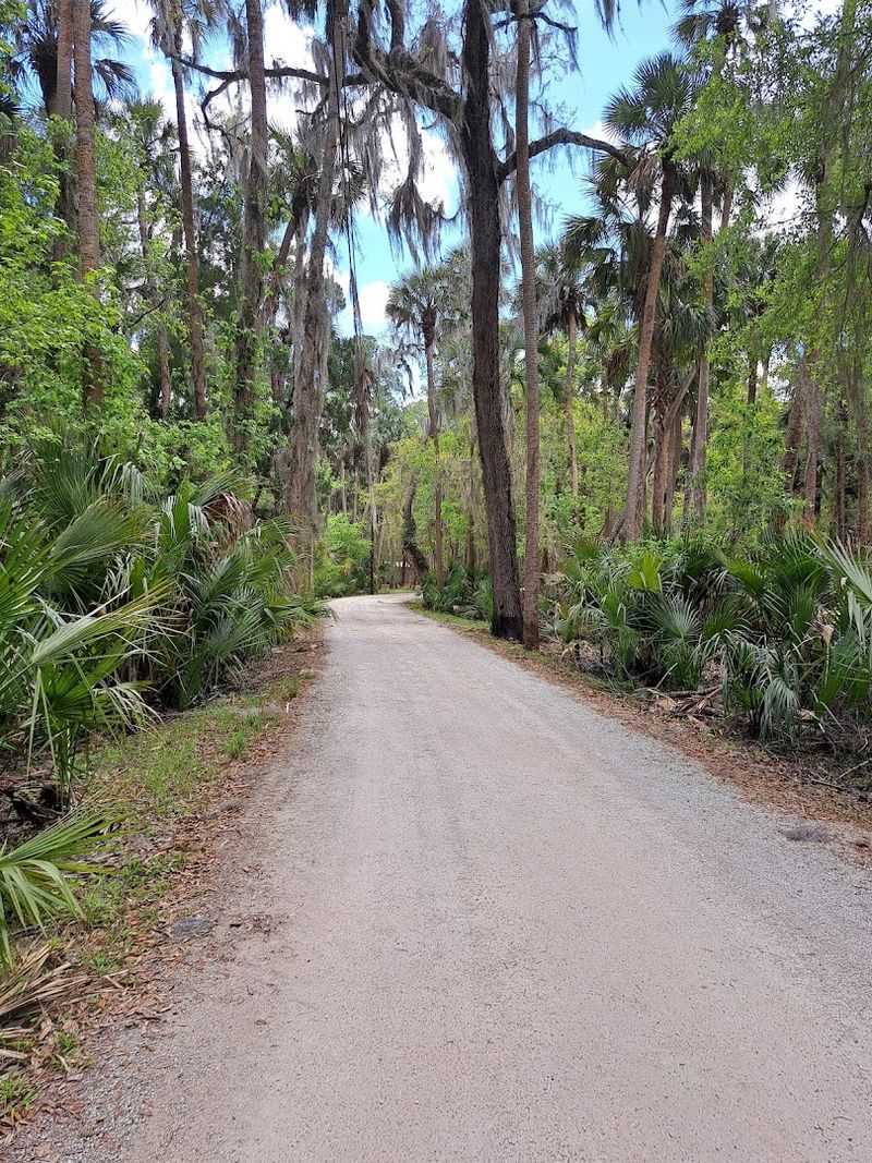 The Park Covers Over 1,600 Acres Of Wild Florida Landscape