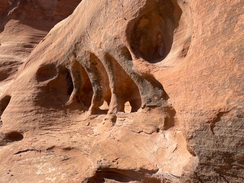 Trail Options for Different Stamina Levels