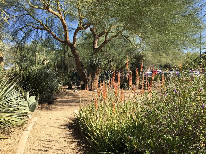An Award-Winning Xeriscape Showcase Of 400 Plants