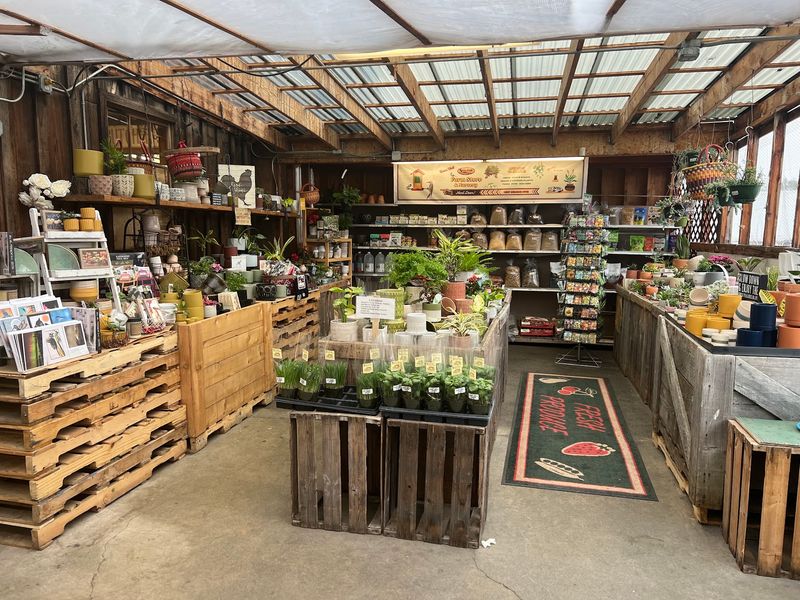 An Earthy, Small-Town Vibe That Suits Nearly Everyone