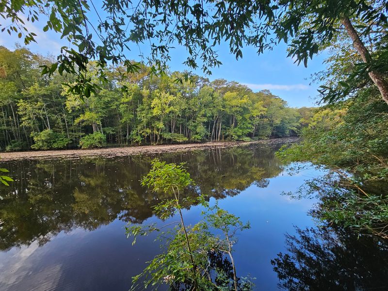 An Easy Day Trip From Columbia