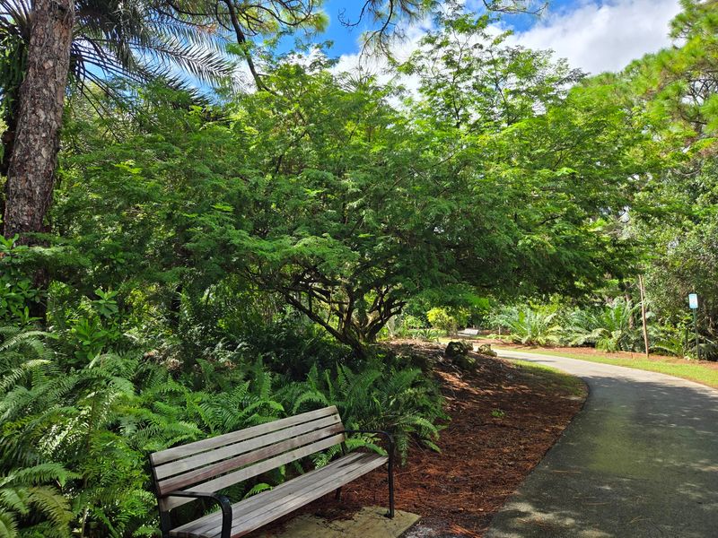 An Easy Half-Mile Accessible Path