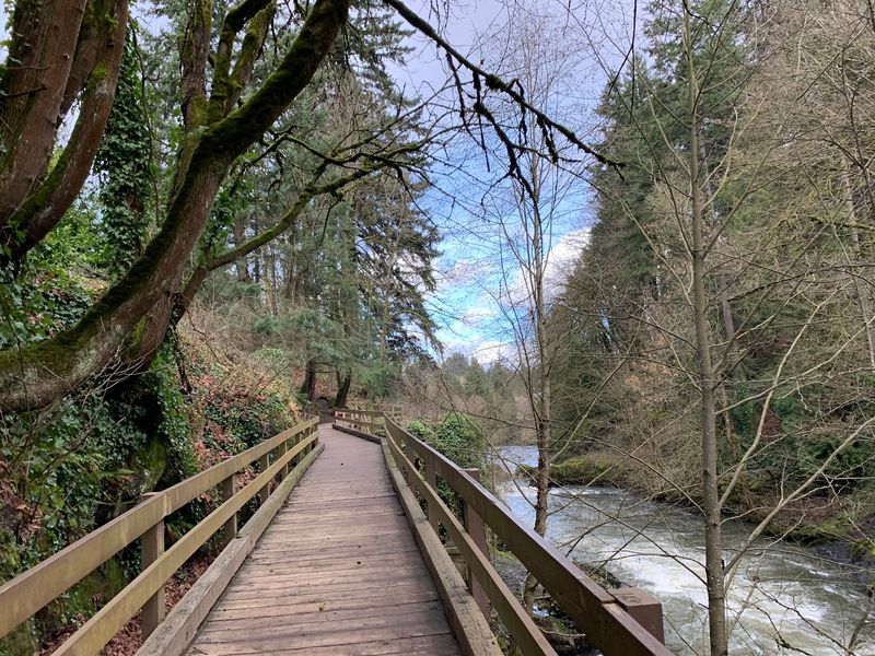 An Easy Loop Trail Anyone Can Walk