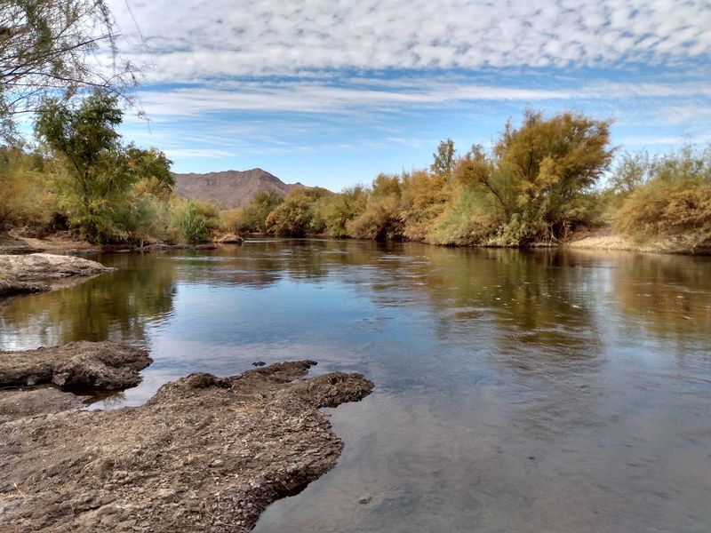 An Easy Riverside Ramble With A Few Surprises