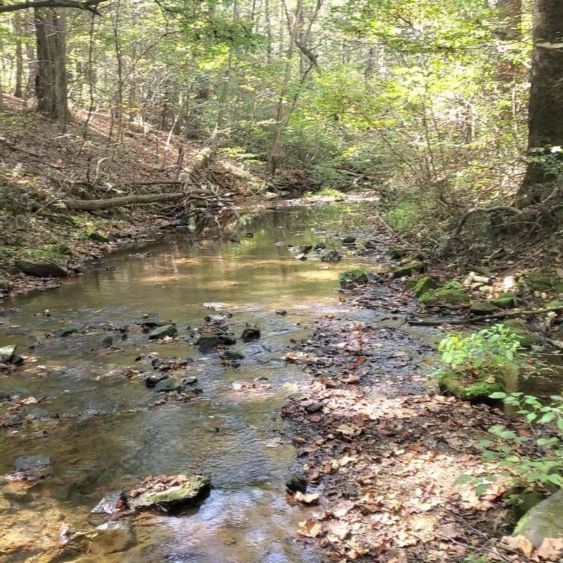 An Easy Valley Walk Along The Creek