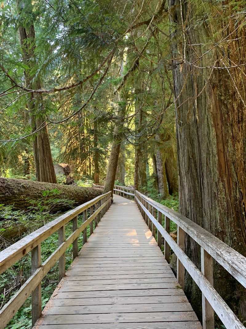 An Easy Walk Made For Every Ability