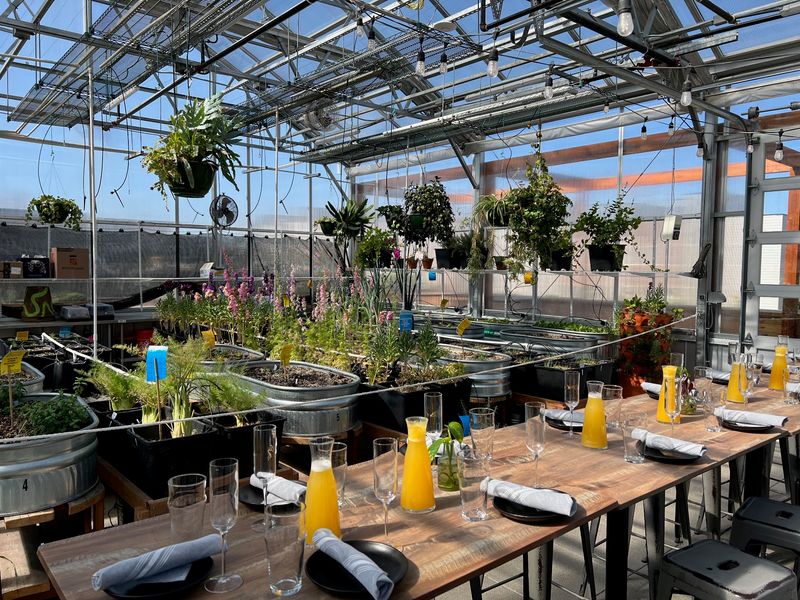 An Englewood Brunch With Actual Growing Power