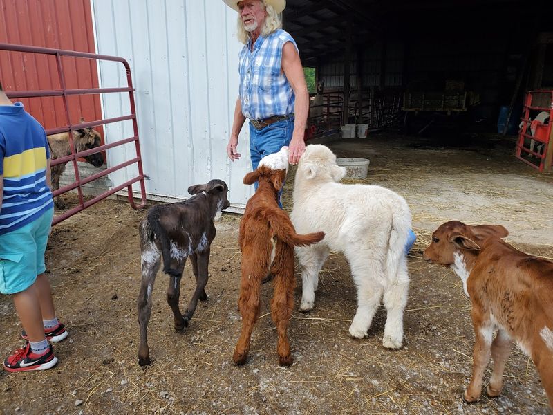 A Family Farm With Heart