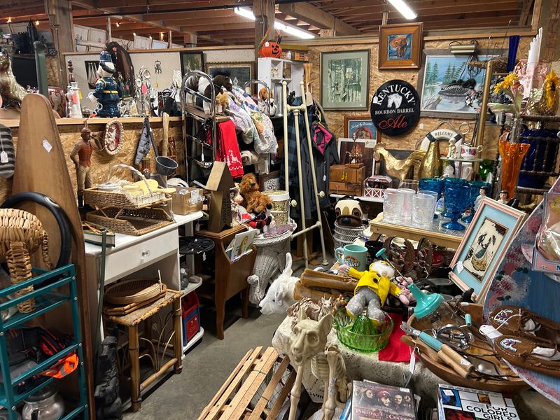 An Incredible Variety Of Treasures An Incredible Variety Of Treasures