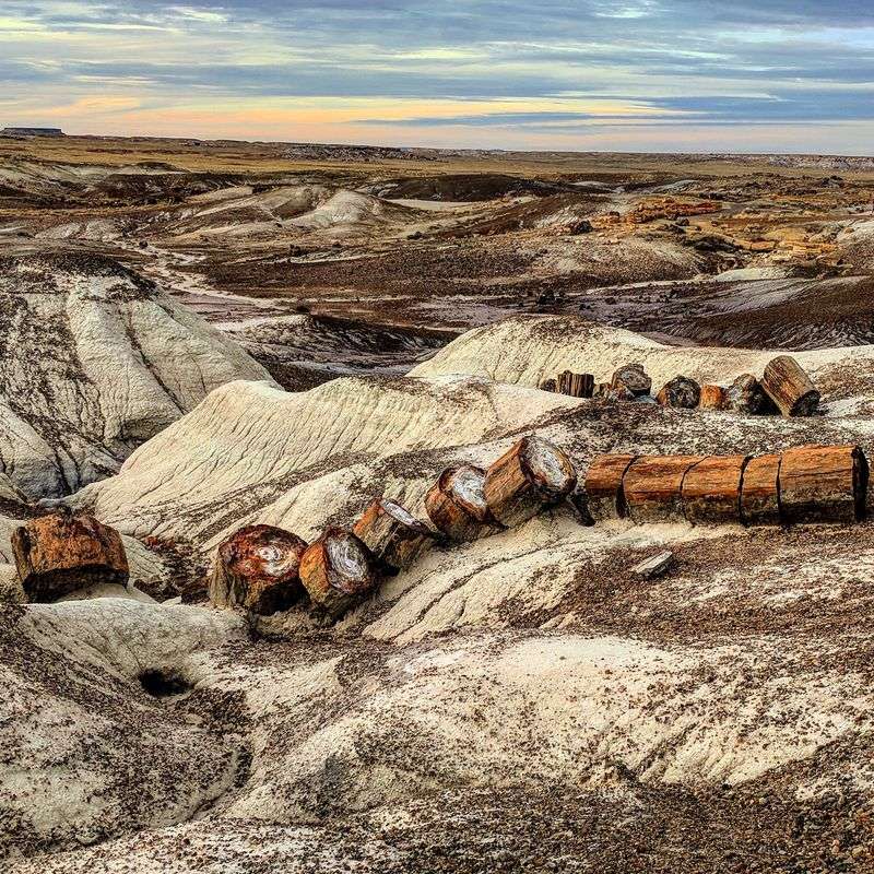 An Interstate Exit That Opens Onto 218 Million Years