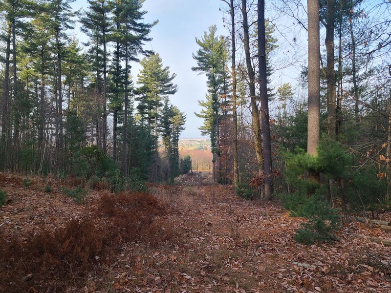 An Ironmaster's House Became A Classroom For Foresters