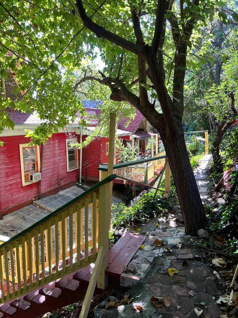 An Ivy-Covered Hillside Garden Full Of Surprises