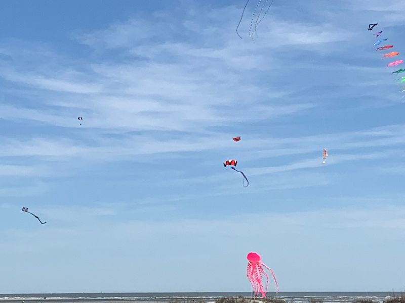 An Octopus, A Whale, And A Sea Turtle Walk Into The Sky
