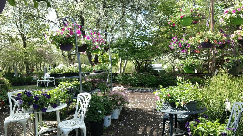 An Old Blacksmith Shop Now Sells Garden Treasures