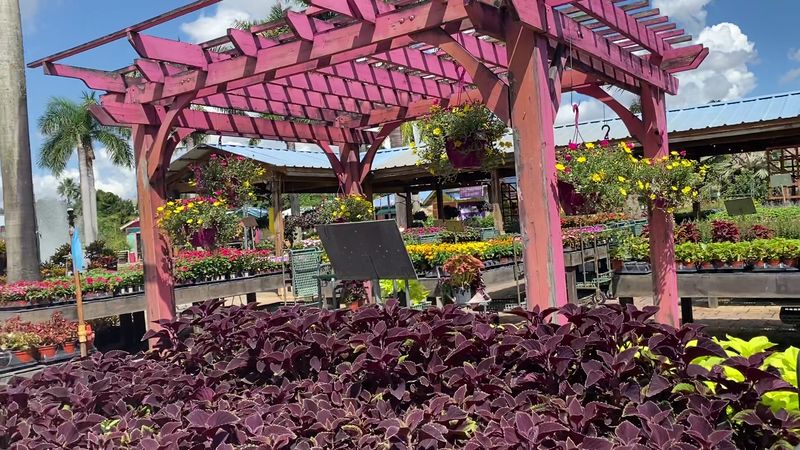 An Open-Air Wonderland Of Plants