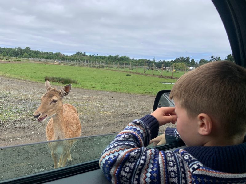 An Outing Built for Families and Grandparents