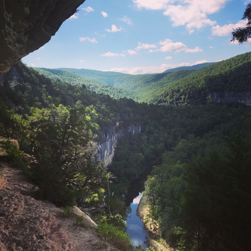 Hiking Through Boxley Valley’s Elk Habitat