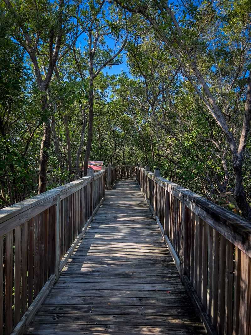 Timing Your Visit And Hours