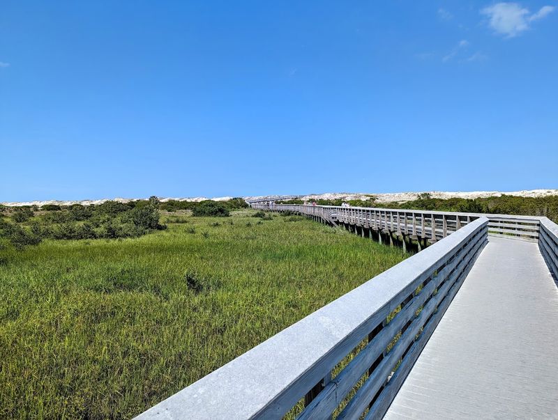 Anastasia State Park, St. Augustine