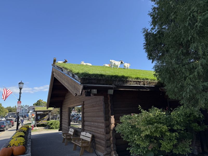 Al Johnson's Swedish Restaurant & Butik – Sister Bay