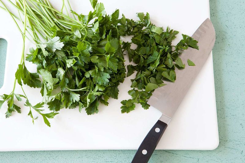 Cilantro
