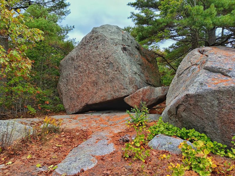 Ancient Boulders With Serious Personality Ancient Boulders With Serious Personality