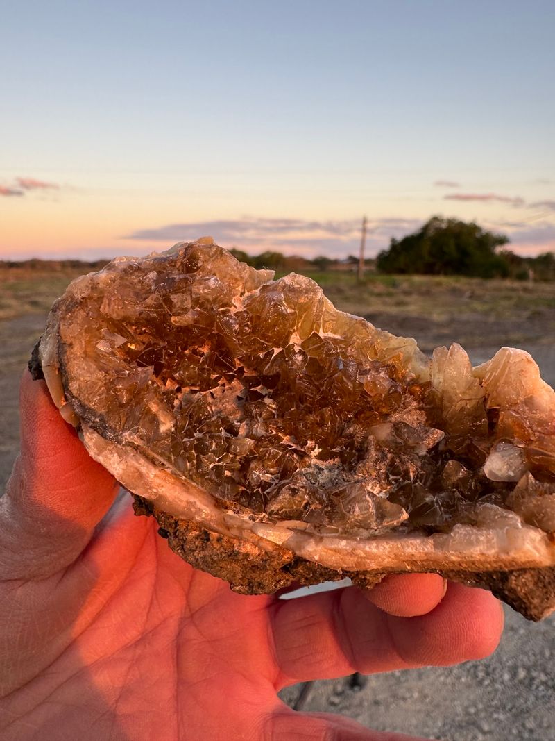 Ancient Clams Hiding Crystal Surprises