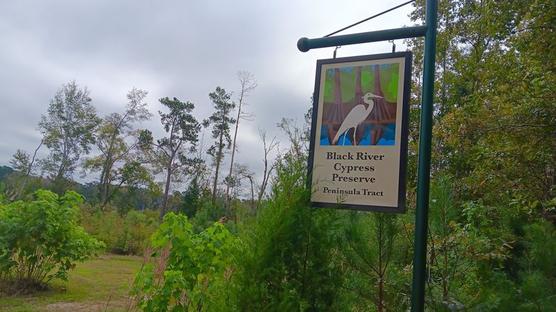 A Haven For Wildlife Watchers