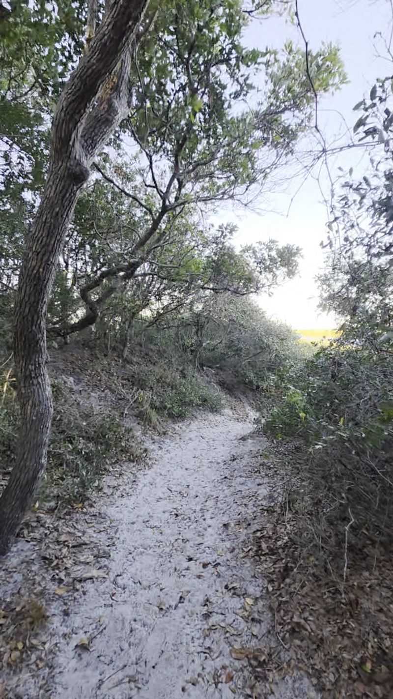 Ancient Dunes Nature Trail, St. Augustine