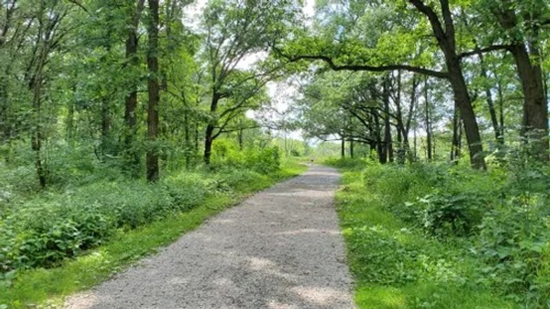 The Trail Network Connects To Miles Of Palos Woods