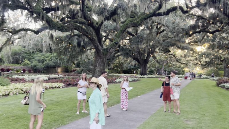 Ancient Live Oaks Create Cathedral-Like Canopies