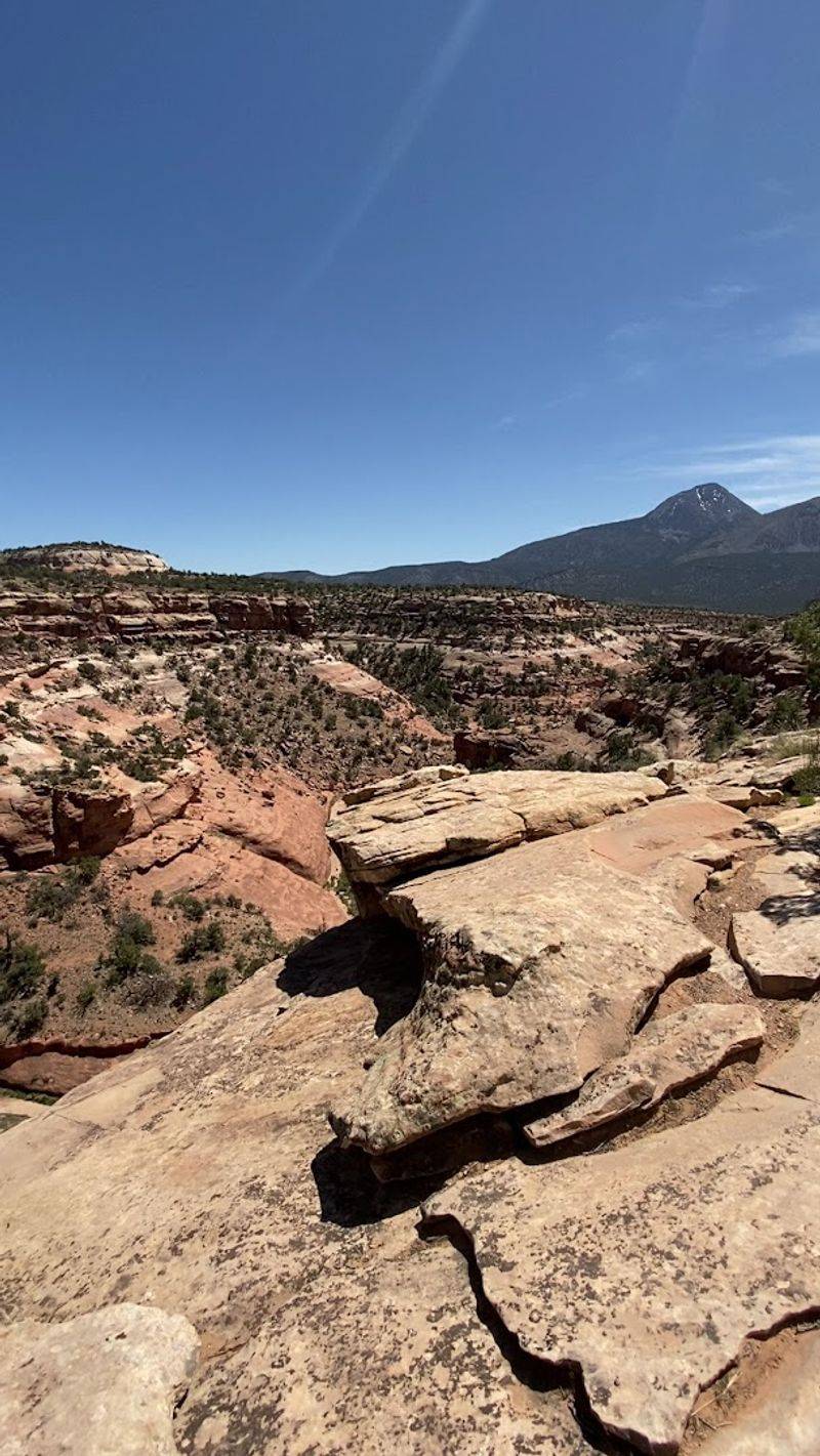 Canyon and Mesa Views Worth Every Step