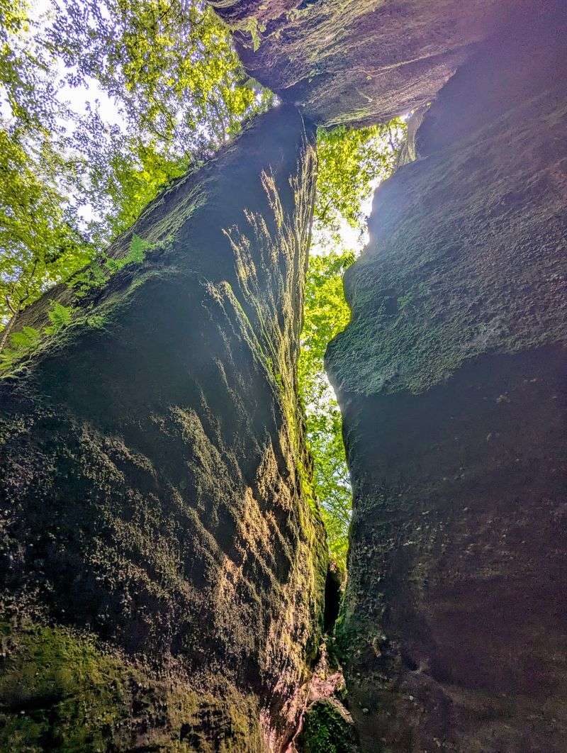 Ancient Sandstone That Cracked Wide Open