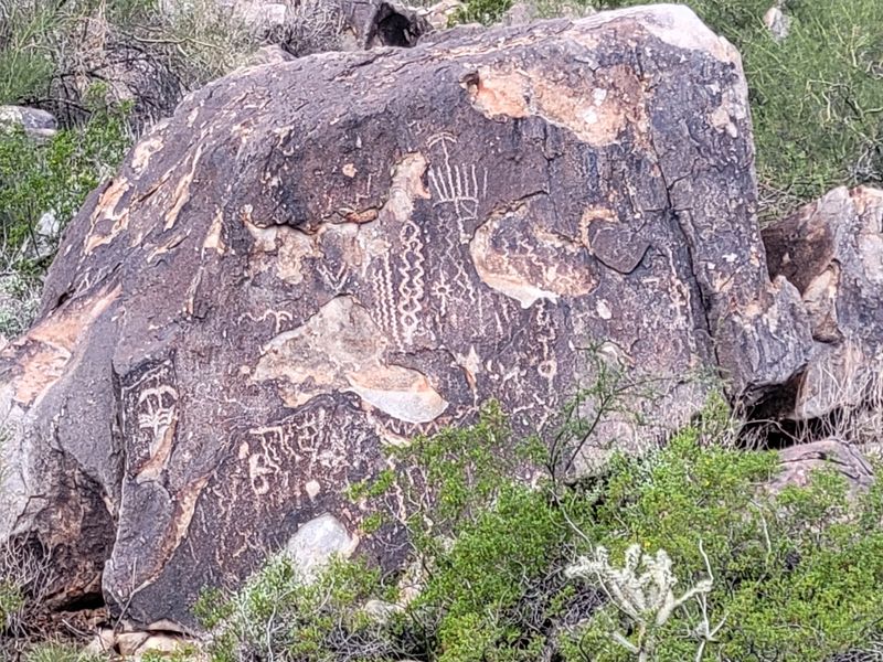 Ancient Symbols Turn Every Boulder Into A Scavenger Hunt