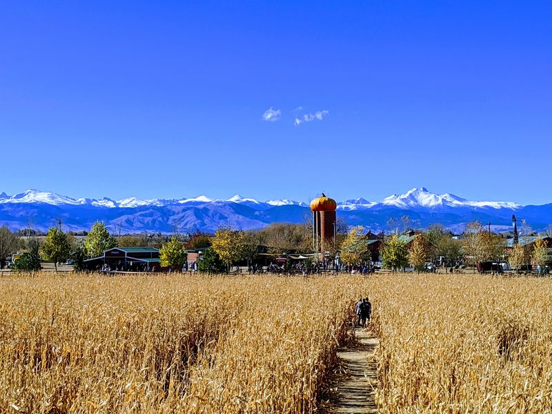 Anderson Farms, Erie, CO