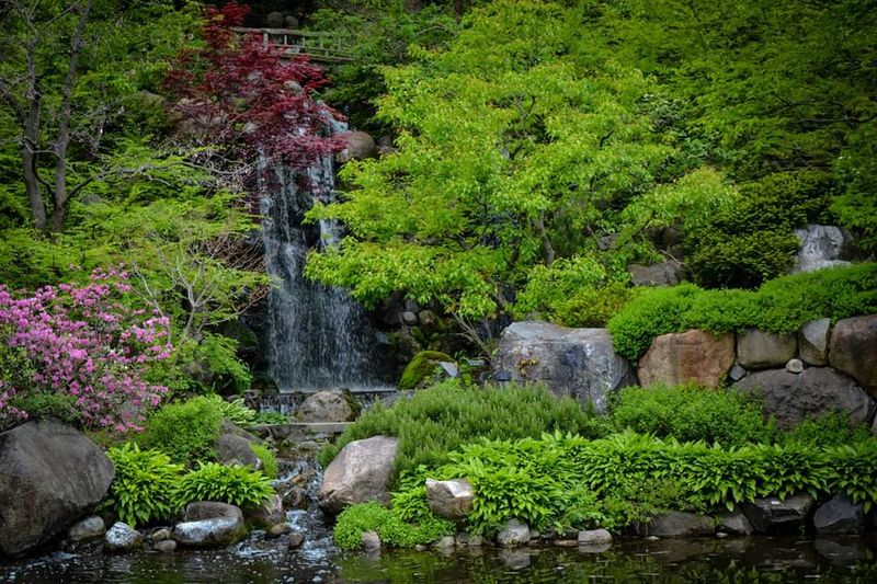 Anderson Japanese Gardens, Rockford
