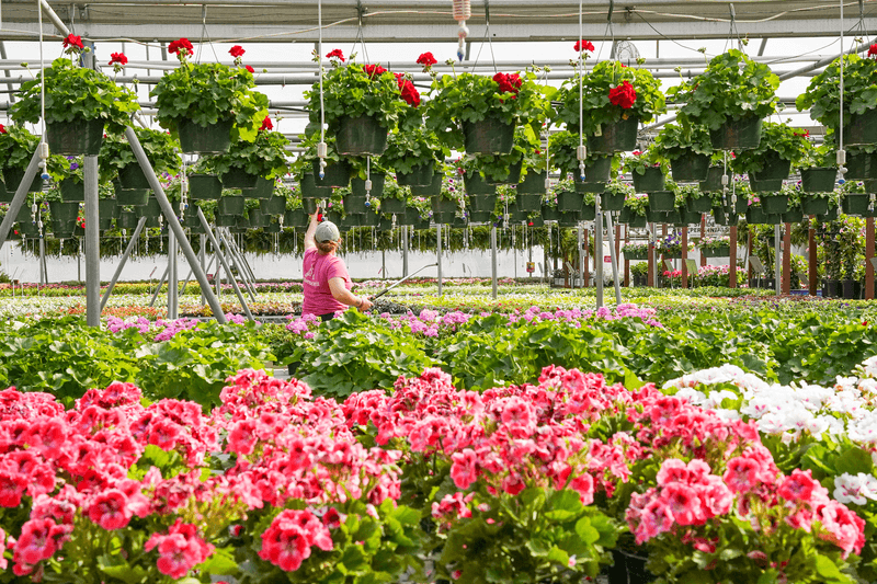Anderson's Garden Center Anderson's Garden Center
