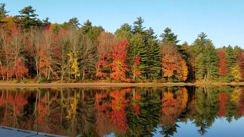 Androscoggin Riverlands State Park, Turner