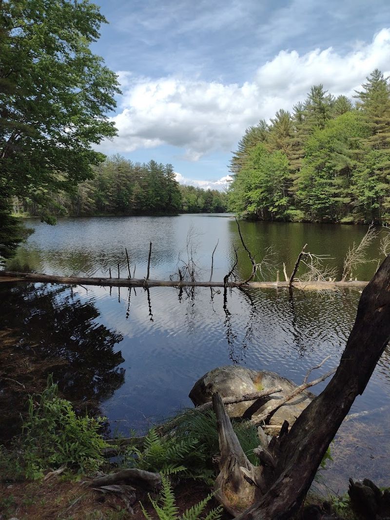 Androscoggin Riverlands State Park
